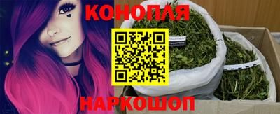 сатива Малгобек