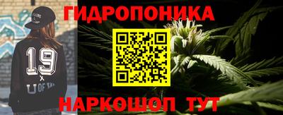 МДПВ Можга