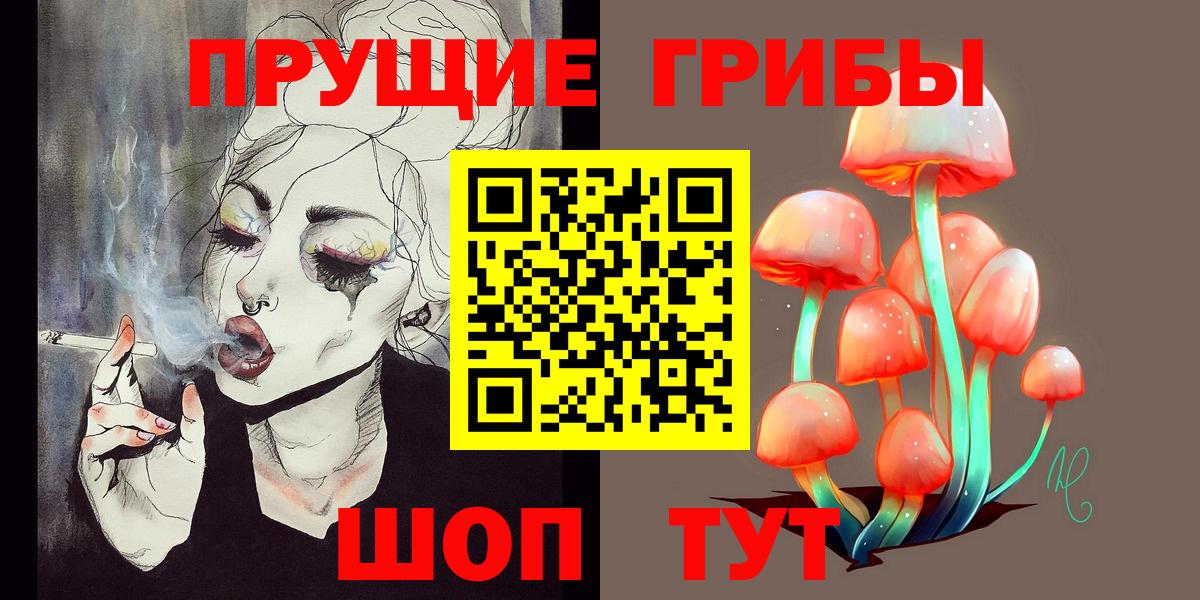 Куйбышев  Псилоцибиновые грибы GOLDEN TEACHER  Вход с VPN 